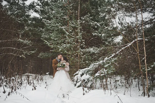 Um passeio de um jovem casal em uma floresta nevada 904 . — Fotografia de Stock