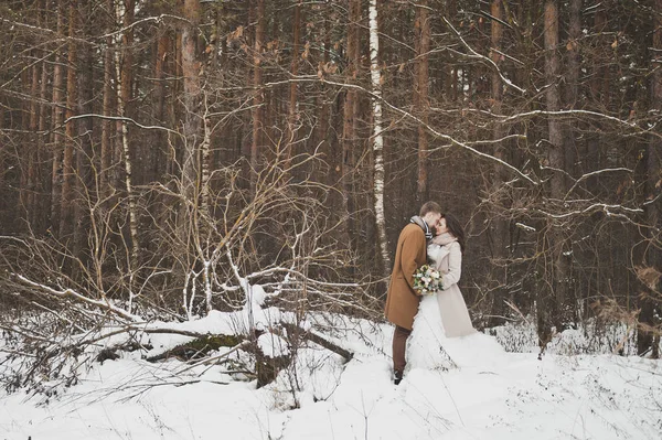 The newlyweds hug each other standing on the edge of the winter — Stock Photo, Image