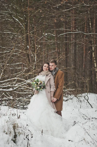 Os recém-casados abraçam-se de pé na borda do inverno — Fotografia de Stock