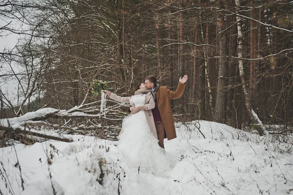 Os recém-casados abraçam-se de pé na borda do inverno — Fotografia de Stock