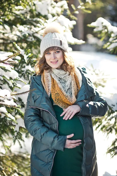 Duży portret dziewczyny w ciąży na zimowy spacer 1123. — Zdjęcie stockowe