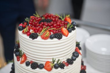 Düğün davetlileri için kocaman bir pasta 2175 numaralı düğün için..