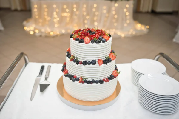 A huge cake for the guests of the holiday for the wedding 2177. — Stock Photo, Image