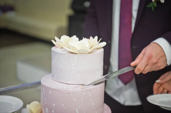 Çift, misafirlerle yapılacak çay partisi için düğün pastası kesti. — Stok fotoğraf