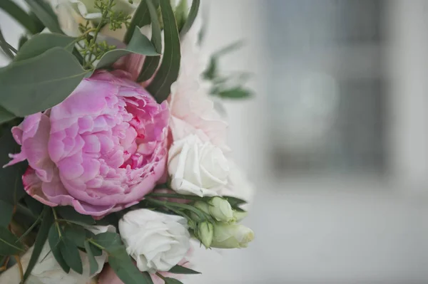 Duże zdjęcie różowych i białych róż na tle wygranej — Zdjęcie stockowe