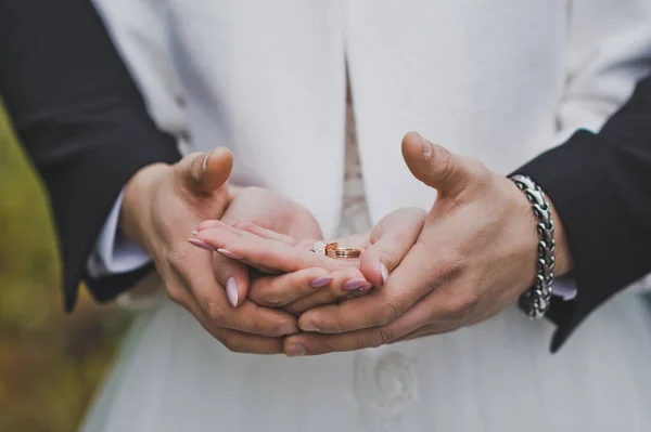 Wedding rings in the hands of the newlyweds 2486. — Stock Photo, Image