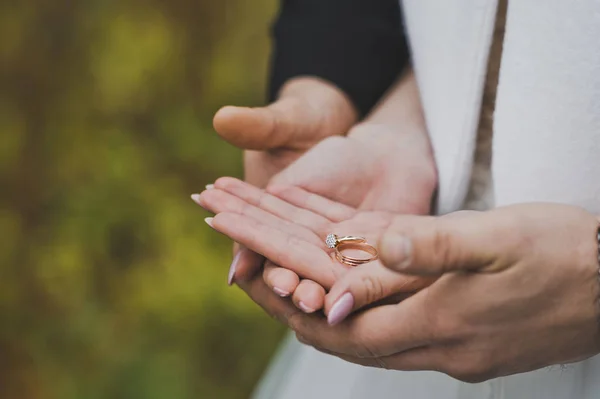 Wedding rings in the hands of the newlyweds 2487. — Stock Photo, Image