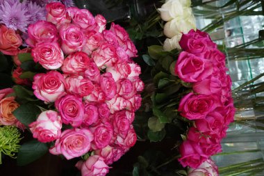 Bunch Of Pink Roses For Love Background. Soft Color Roses Bouquet.