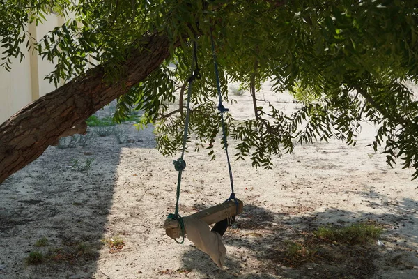 Un albero sporco dei bambini altalena. Altalena di legno ancora sotto gli alberi in autunno foglie e inverno. Altalena di legno su funi sotto il grande albero in una zona sabbiosa ombreggiata. — Foto Stock