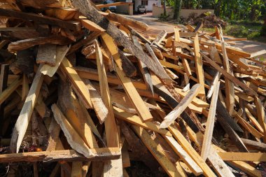 Kırık uzun ağaç gövdesi parçaları. Kırık tahta parçalarını kapatın. Çam kerestesi yongası. Parçalara ayrılmış ve parçalara ayrılmış. Ağaç gövdesi sağlam. Odun toplama yerinden çok uzakta..