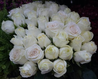 Beyaz Güller Arkaplanı. Güzel buketteki beyaz güllerin çeşitleri. Çiçekçide parlak renklerde beyaz gül buketi..