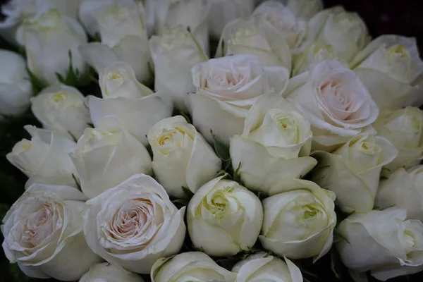 White Roses Background. Variety of white roses in beautiful bouquet. Bridal bouquet of white rose in bright colors in flower shop in market.