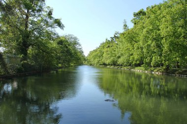 Ağaçlar büyük bir nehir