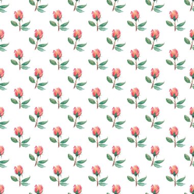 Suluboya güllü desen. Beyaz arka planda sarı-kırmızı çiçek tomurcukları ve yeşil yapraklı kusursuz suluboya deseni. Tekstil için çiçekler, tebrik kartları, ambalaj kağıtları..