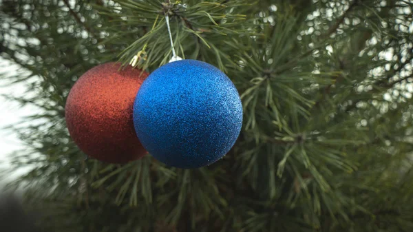 Weihnachtsspielzeug Auf Christbaumhintergrund Weihnachtsspielzeug Auf Christbaumhintergrund Kuscheltier Weihnachtsbaum — Stockfoto