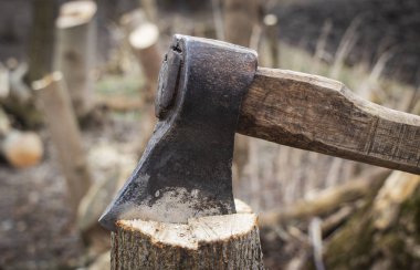 Baltası kütüğün üstünde, yakacak odun kırıyor, tahta saplı eski bir balta