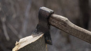 Baltası kütüğün üstünde, yakacak odun kırıyor, tahta saplı eski bir balta