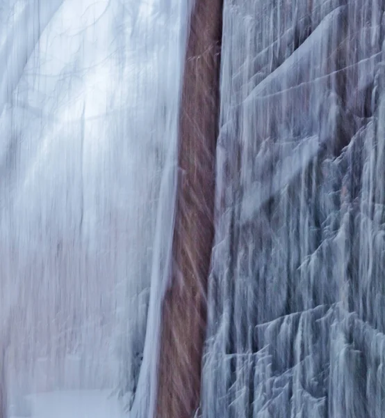 Tronc Arbre Abstrait Neige Tombant Dans Forêt — Photo