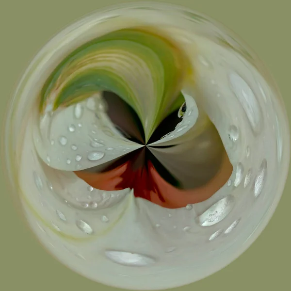 Floral abstract orb and water drops