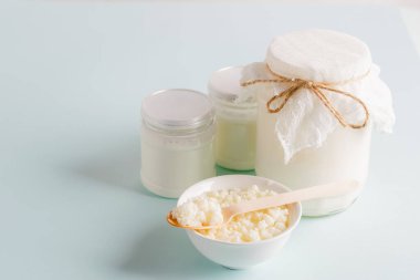 Süt mantarı organik probiyotik mayalanmış süt ürünleri cam kase. Mayalanmış yiyecekler sağlıklı yeme konsepti. Boşluğu kopyala.