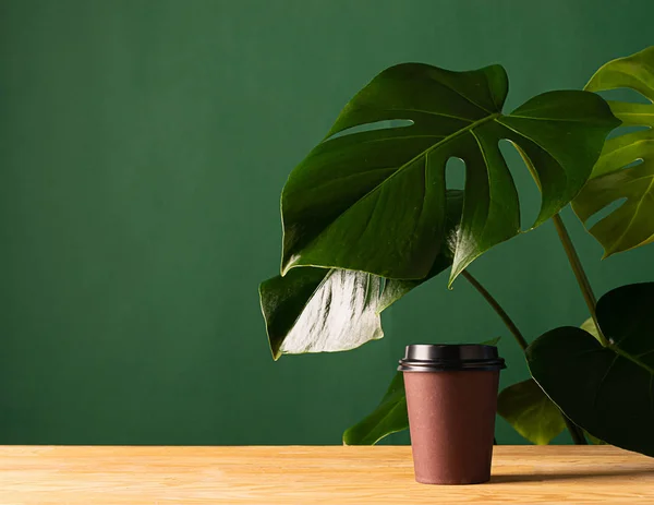 Pappbecher mit Teegetränk auf einem Holztisch vor der Hintergrundpflanze und einer grünen Wand. Null-West-Konzept. — Stockfoto