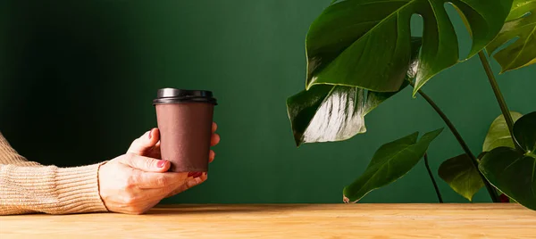 손에 종이컵을 들고 뒷밭에 있는 화분 과 녹색 벽에 커피 잔을 들고 있는 여자가 있다. 제로 웨스트 개념 — 스톡 사진