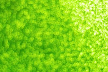 Metin veya tasarım için yeşil parlak arkaplan. Tatil faturası konsepti. Boşluk şablonunu kopyala