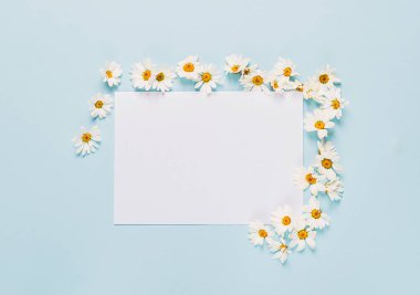 Mavi arka planda, içi boş beyaz kağıtlar ve etrafa yayılmış çiçekler. Çiçekli yaz geçmişi. Düz yatıyordu