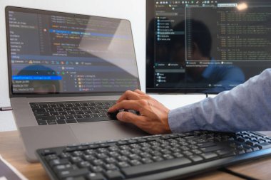 Programlama programcısı, geliştirici ve morina balığı üzerinde çalışan programcılar