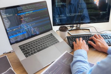 Programlama programcısı, geliştirici ve morina balığı üzerinde çalışan programcılar