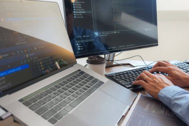 Programlama programcısı, geliştirici ve morina balığı üzerinde çalışan programcılar