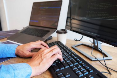 Programlama programcısı, geliştirici ve morina balığı üzerinde çalışan programcılar