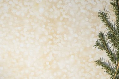Noel ve Yeni Yıl ahşap arka planı hafif bokeh. Taze ladin dalı. Boşluğu kopyala.