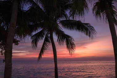 Deniz ve kumun arka planında güzel kırmızı ve mavi gün batımı. Güneş panelleri ve palmiye ağaçları