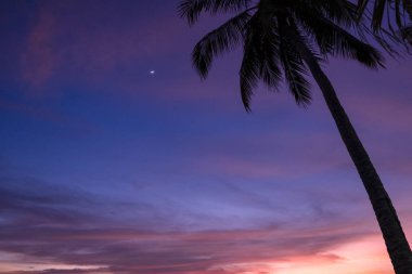 Güzel kırmızı ve mavi günbatımı denizin, kumun ve palmiye ağaçlarının arka planında