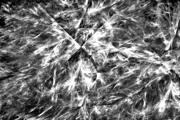 Abstrakter Schwarz Weißer Hintergrund Zufällige Fraktale Formen Geeignet Für Tapeten — Stockfoto