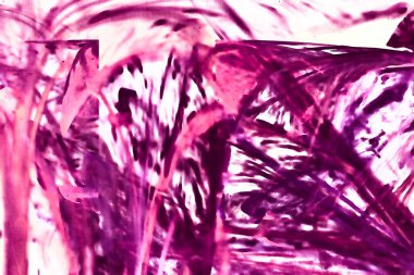 Güzel romantik fraktal pembe desen. Soyut arkaplan, fraktal şekiller. Yazdırma için iyi ya da poster, kart, davetiye ya da web sitesi tasarımı için bir kalıp olarak iyi