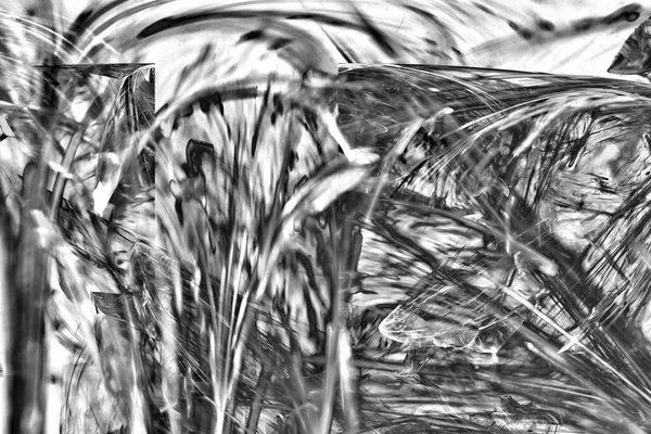 Patrón Fractal Blanco Negro Aleatorio Formas Fractales Abstractas Adecuado Para — Foto de Stock