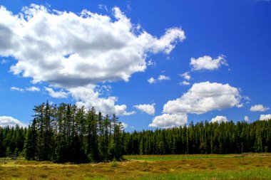 Mavi gökyüzü ve bulutlarla harika bir gün: Kanada 'da Ontario' nun güzel kırsal kesimi