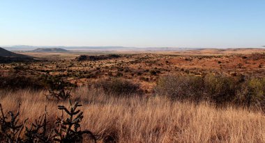 Beautiful and wide landscape in Big Bend National Park, Texas