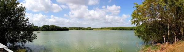 Vista Panorâmica Lago Parque Nacional Everglades — Fotografia de Stock