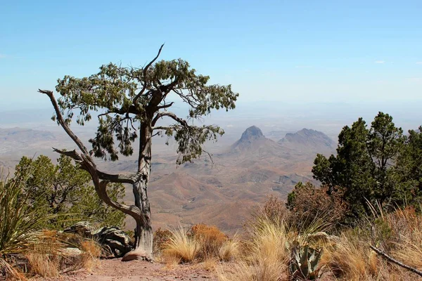 Krásný výhled z jižního okraje v Big Bend Nationalpark — Stock fotografie