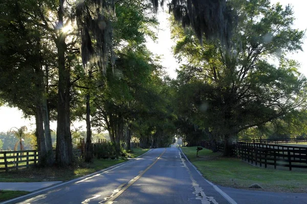 道路は美しい農村部の農地をリード アメリカ水平フレームショット — ストック写真