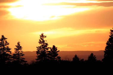 Beautiful evening: Majestic sunset behind the silhouette of a forest