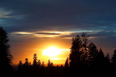 Beautiful evening: Majestic sunset behind the silhouette of a forest