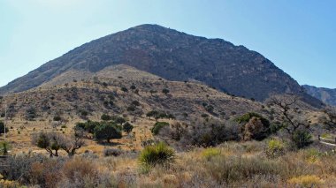 Teksas / ABD 'deki Guadalupe Dağları Ulusal Parkı' nda güzel bir manzara.