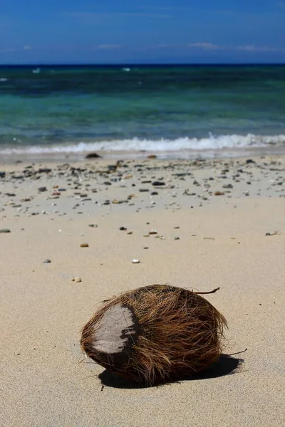 Καρύδα Στην Παραλία Υπέροχη Παραλία Στον Ειρηνικό Ωκεανό Νησιά Φίτζι — Φωτογραφία Αρχείου