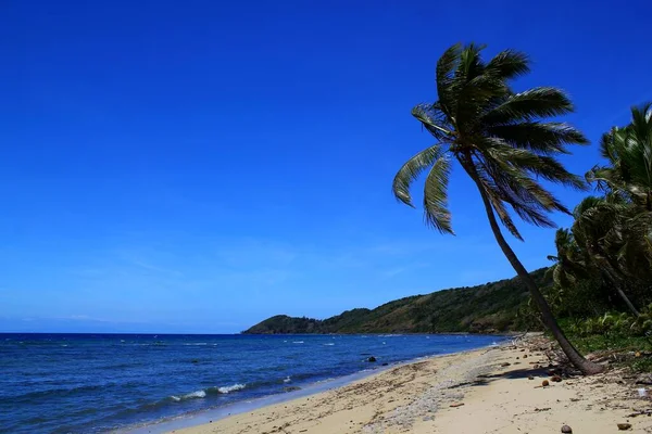 斐济美丽的海滩 无尽的海滩和晴朗的蓝天 — 图库照片