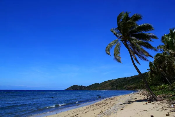 Csodálatos Strand Fidzsin Végtelen Strand Tiszta Kék — Stock Fotó