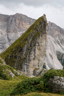 Dik kayanın tepesinde mutlu yürüyüşçü. Zirveye başarıyla ulaştı.